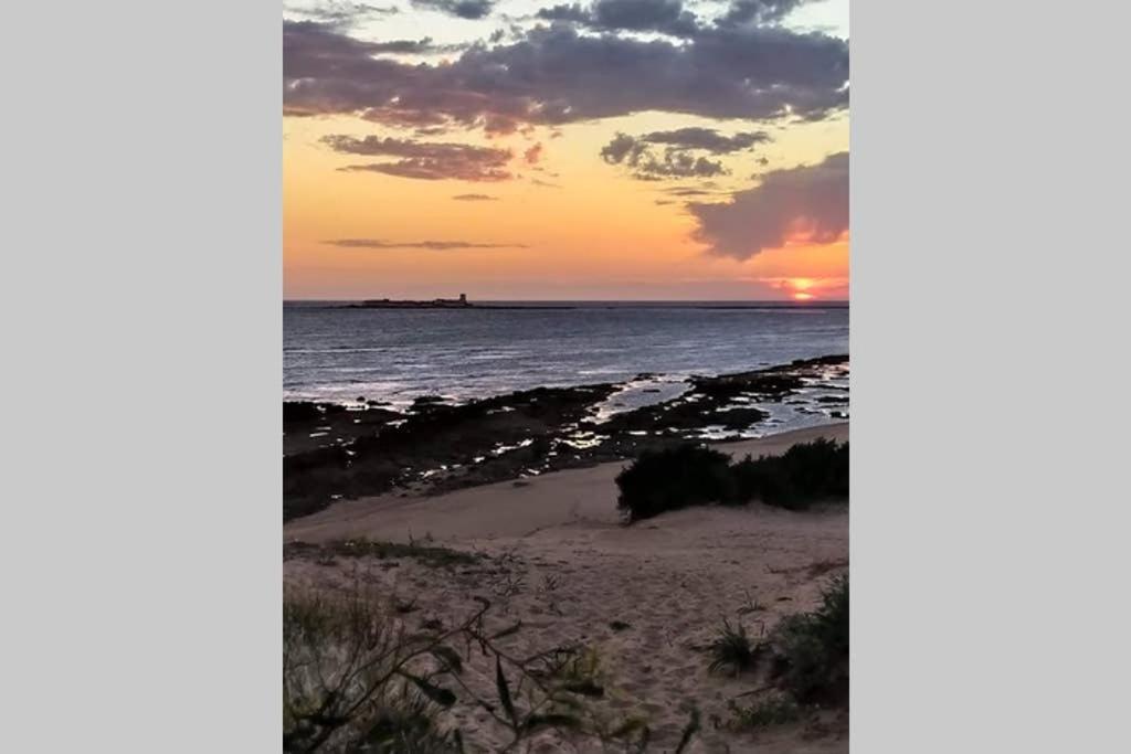Apartamento Costa Sancti-Petri La Barrosa Chiclana Chiclana de la Frontera Eksteriør billede